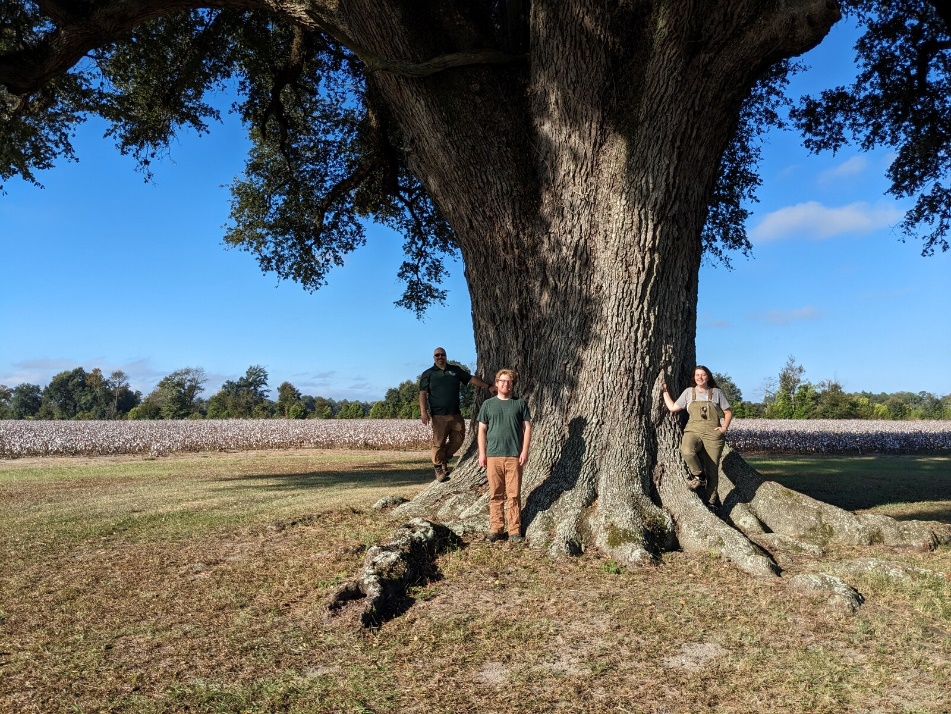 George state champion live oak