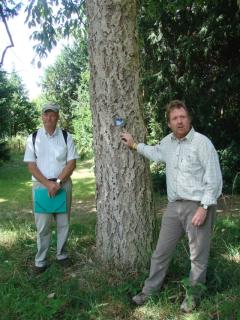 Shaun Haddock (left), Tony Kirham (right), Quercus variabilis (centre), planted 1909 (Eike Jablonski)