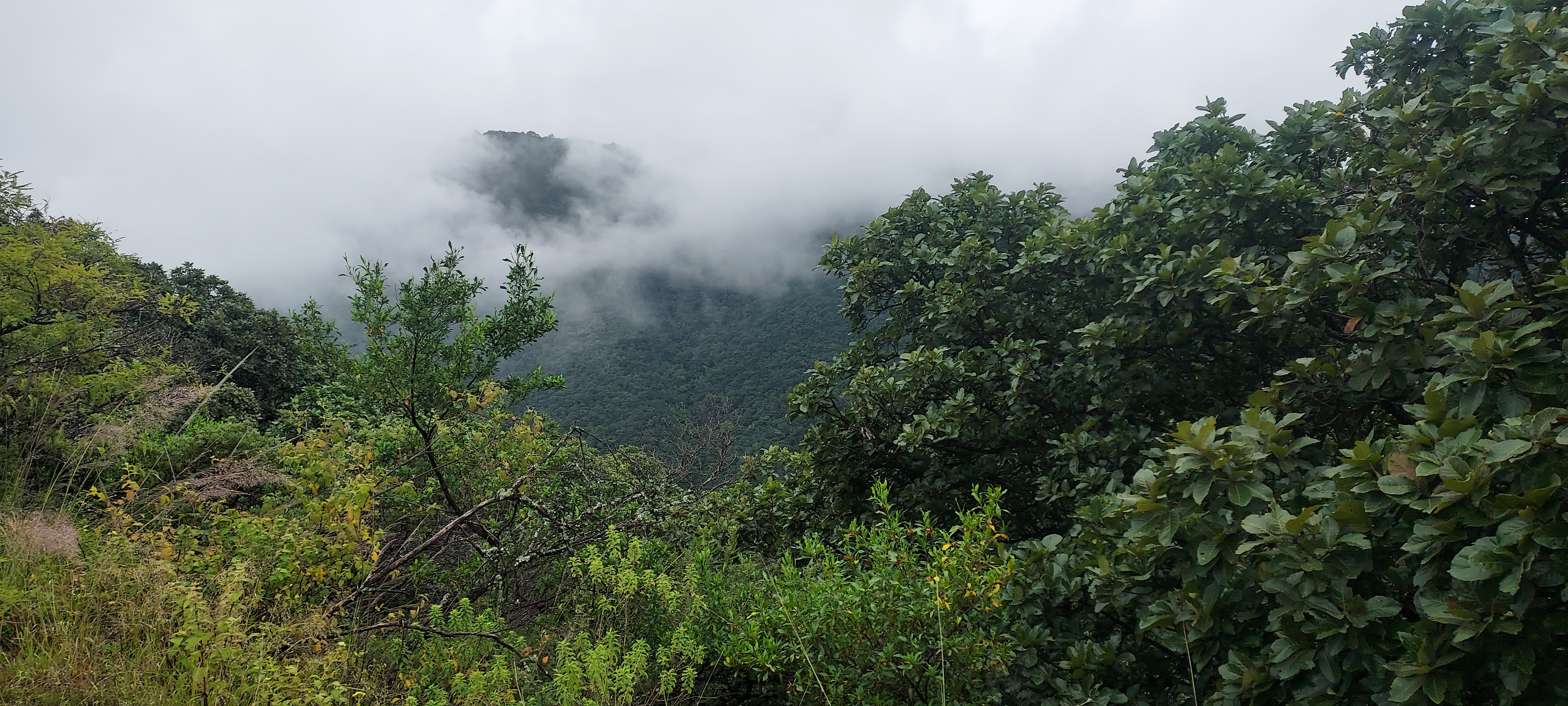 Vies of the landscape at San Pablo Etla