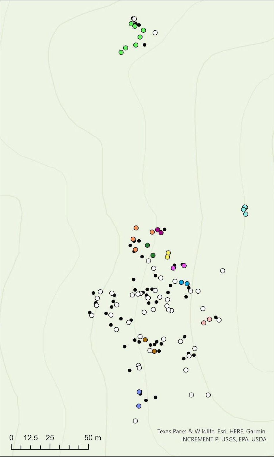 Figure 5. Map showing the distribution of clones within the Western Solitario site, with black points representing individuals t