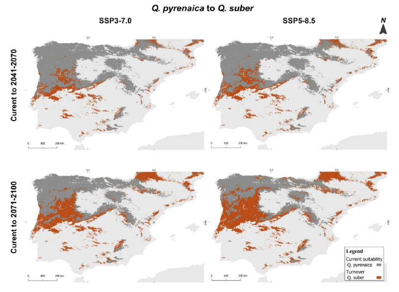 Figure 8 from Pasos et al.