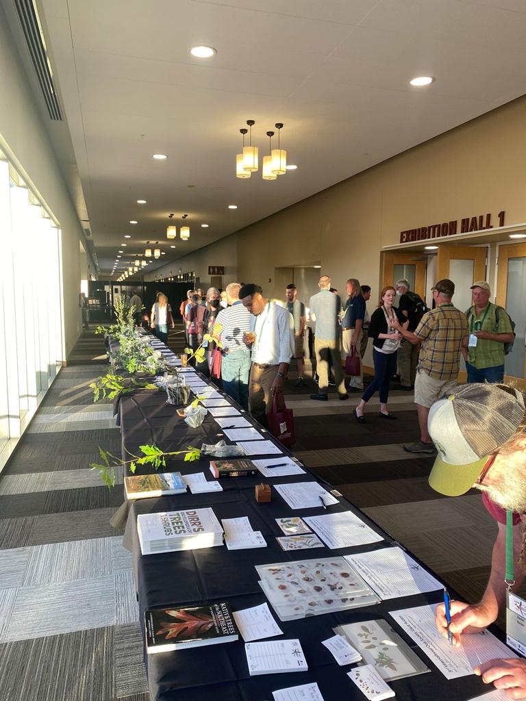 The Silent Auction at Las Cruces