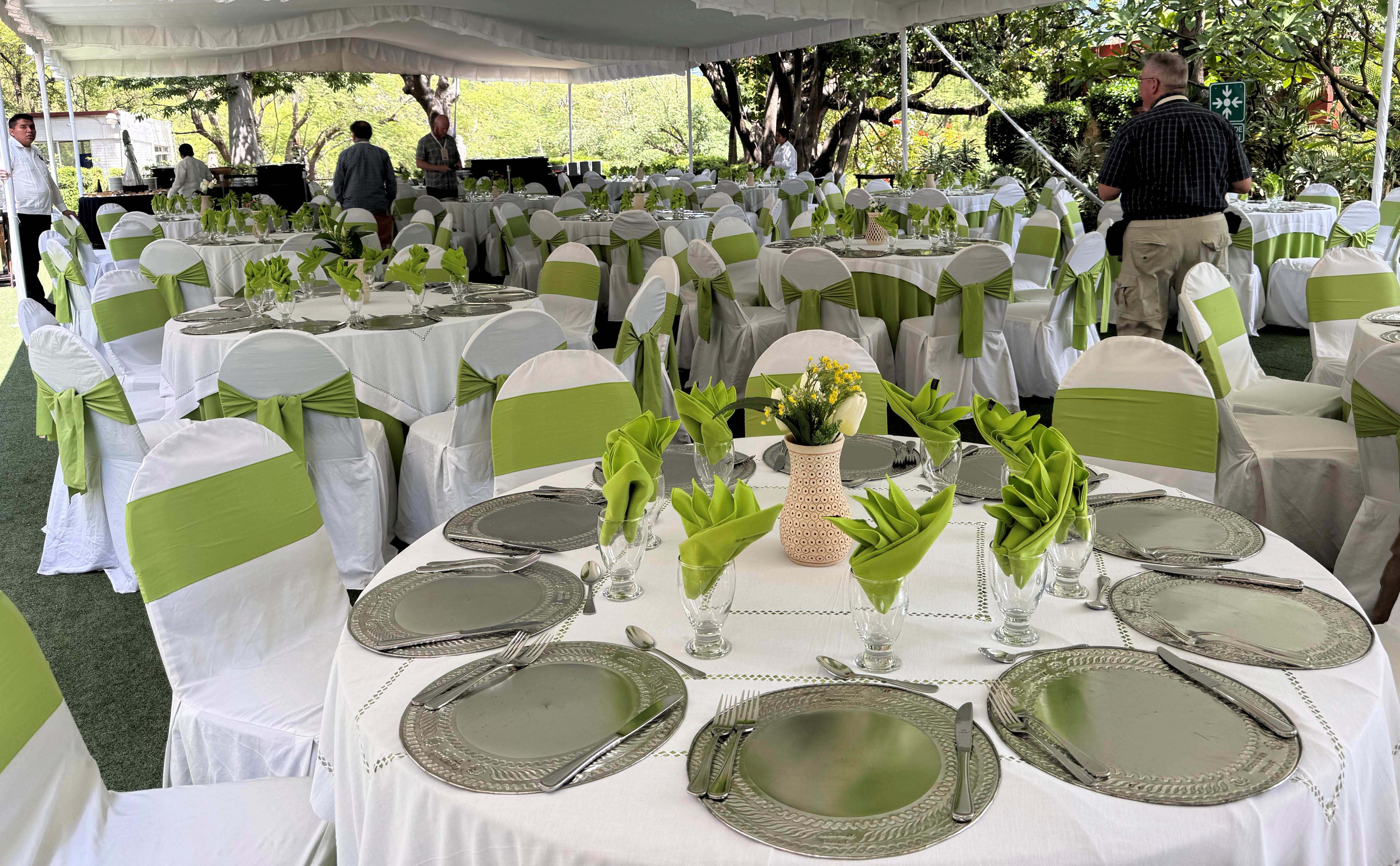 Lunch in the marquee green theme