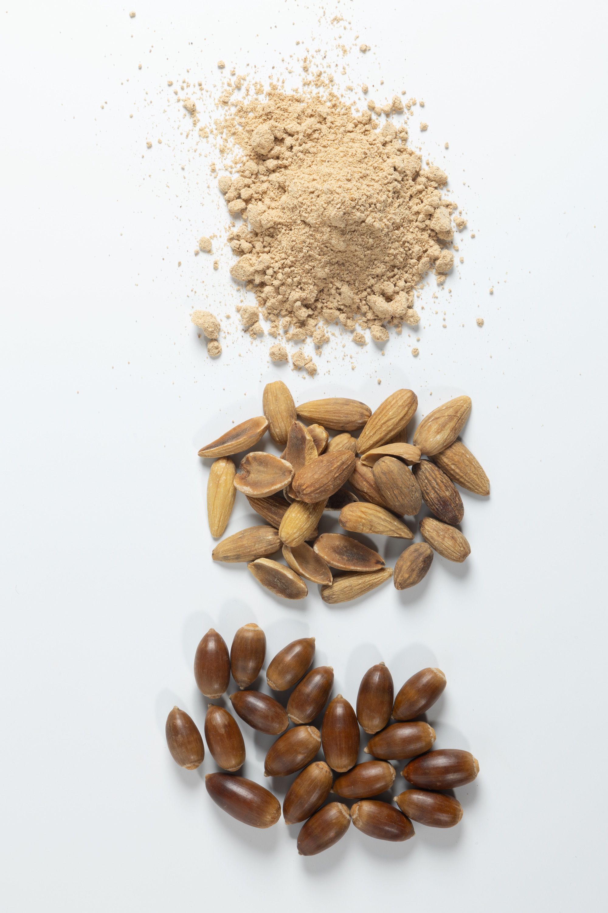 Acors in their shell, shelled, and flour