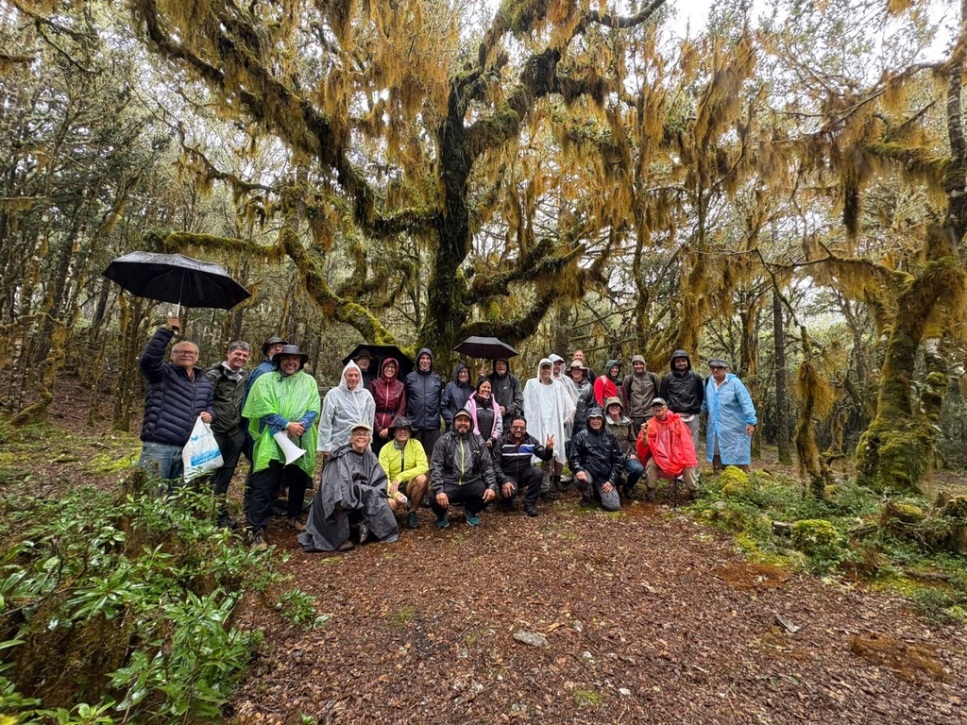 Our tour group beneath the lichen covered branches of Quercus macdougallii. 