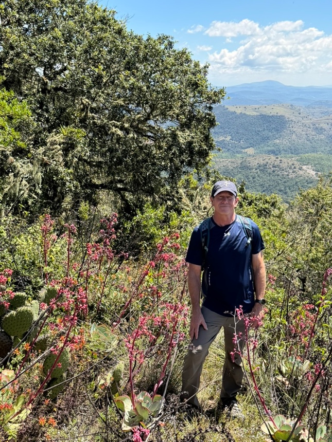 A colorful highlight of the trek up Cerro Yucucui: Wally surrounded by the tall inflorescences of Echeveria gigantea.
