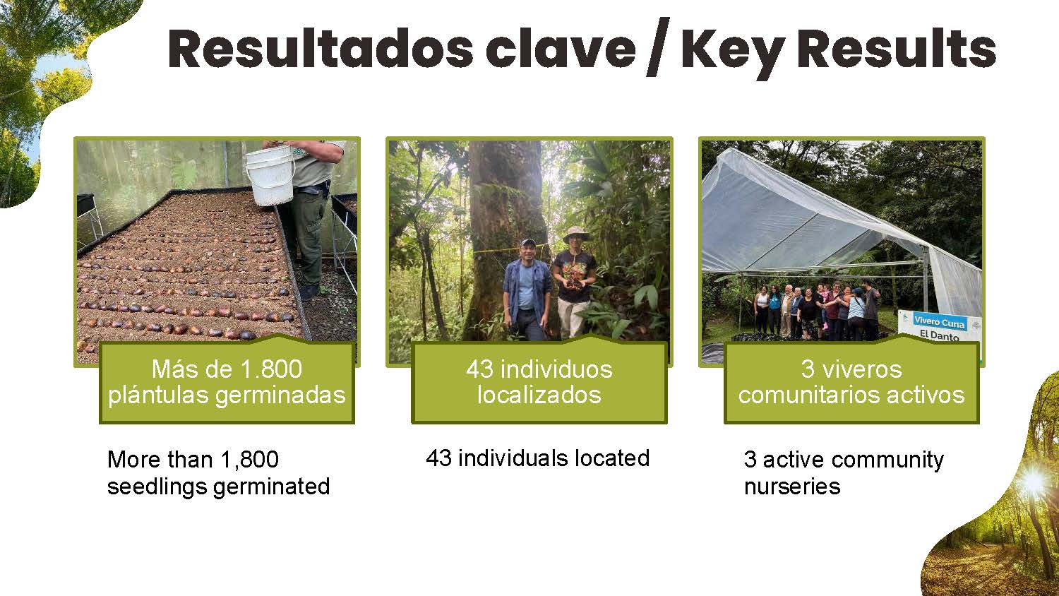 Slide from presentation: Key results