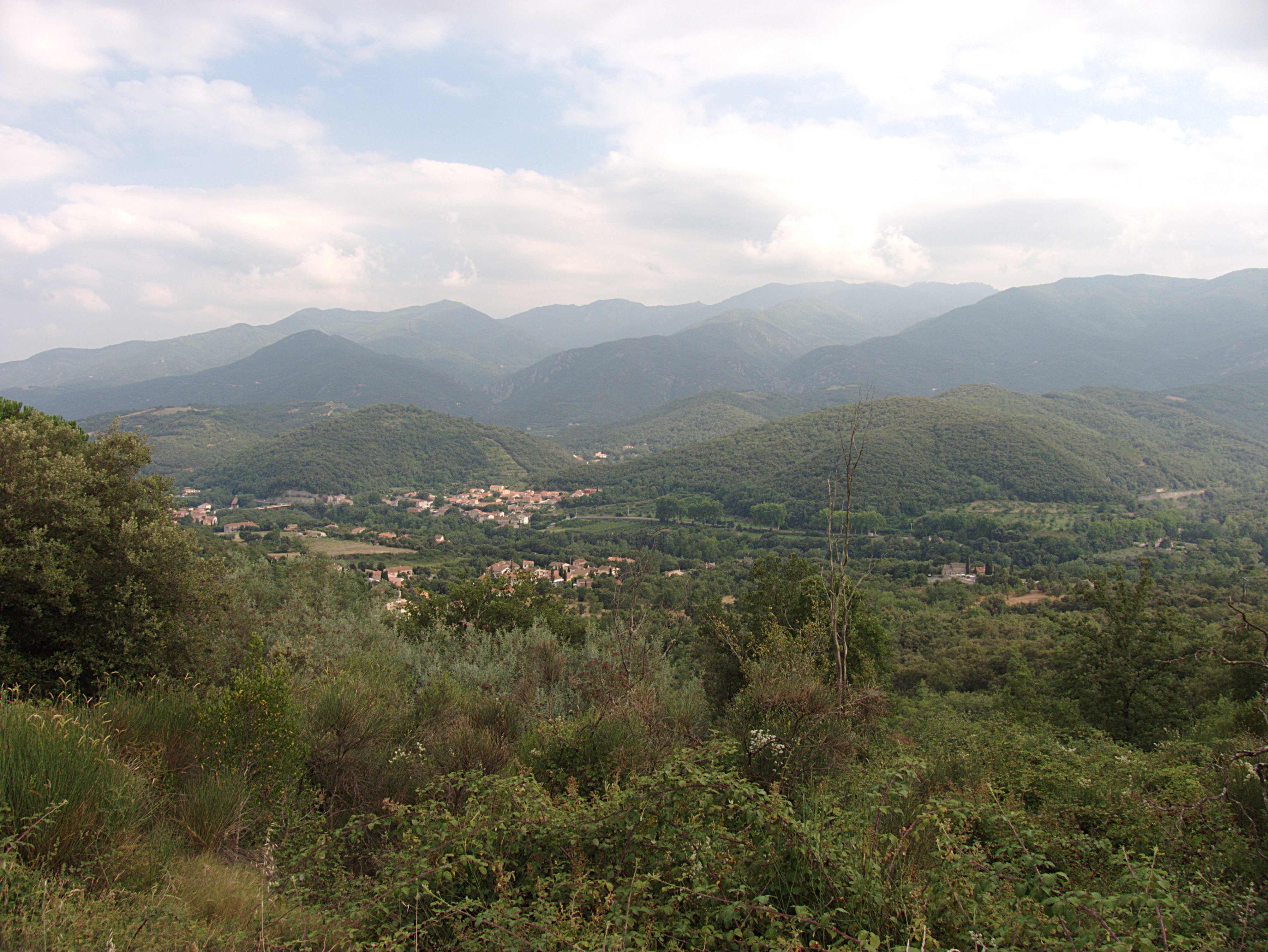 Pyrenees that his family had farmed since the 17th century.  Reynès and its surrounding woodlands in the eastern Pyrenees. © Ber