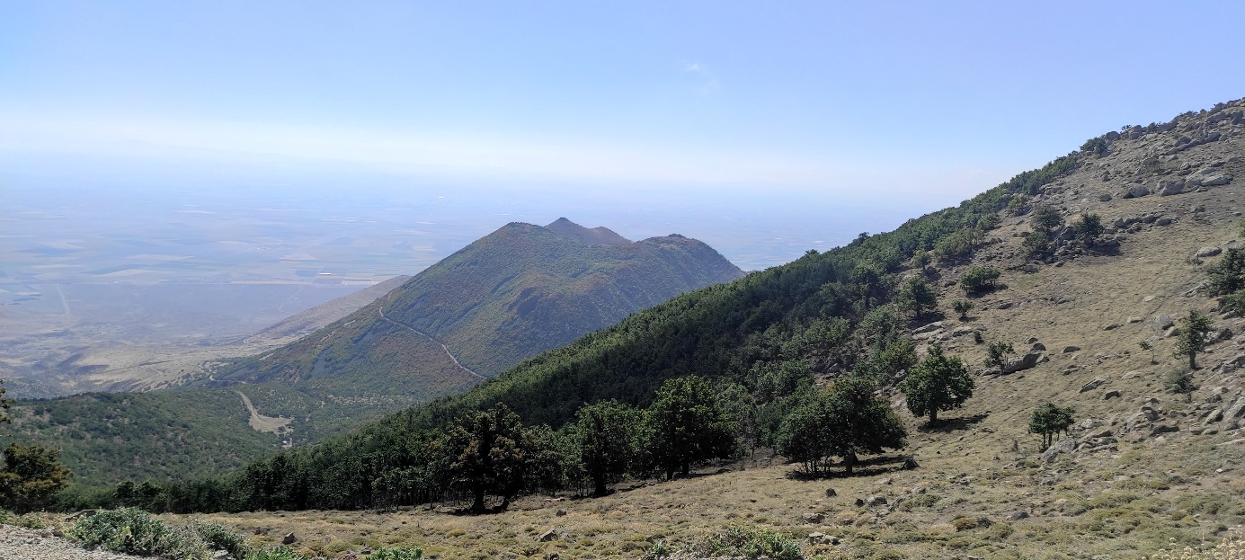 Karaman, Karadağ- the type locality of Q. vulcanica