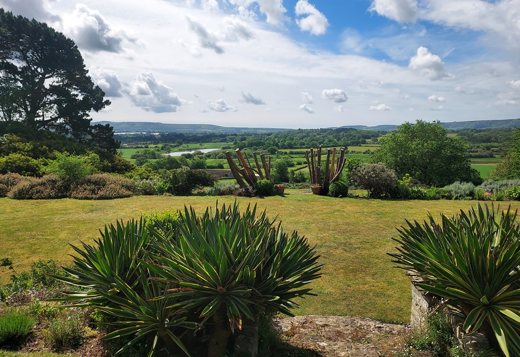 View from Wynkcoombe Arboretum