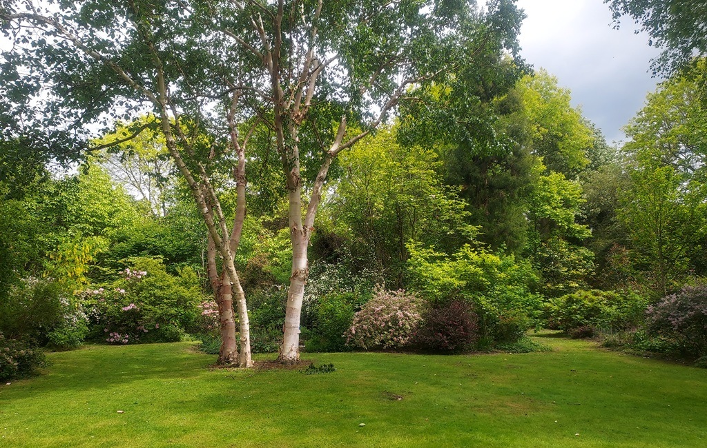 A view of the garden at White House Farm
