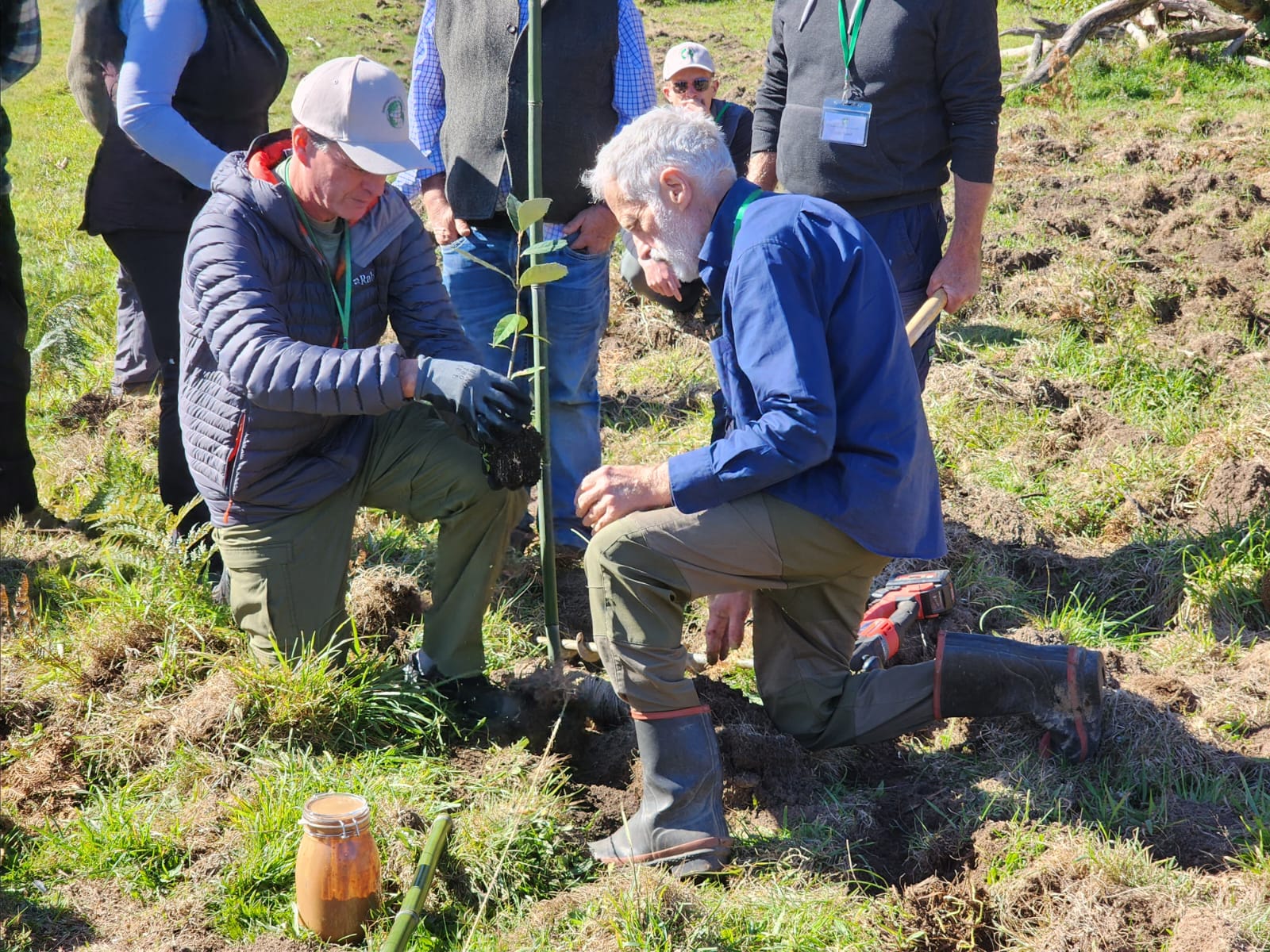 Roderick Cameron and Peter Marshall prepare to plant a Q. leucotrichophora seedling