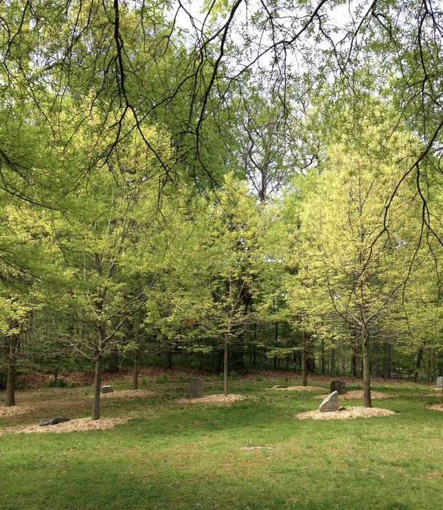 The Joseph Beuys Sculpture Park at the University of Maryland Baltimore County. © Scott218. Reproduced under the Creative Common