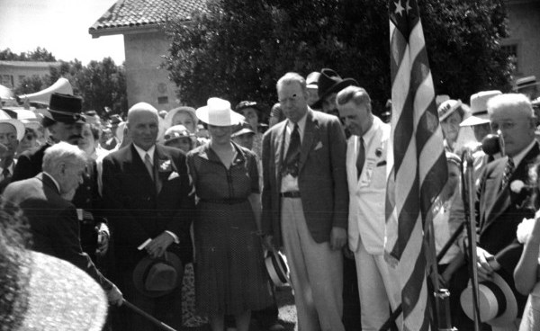 Planting sessile oak