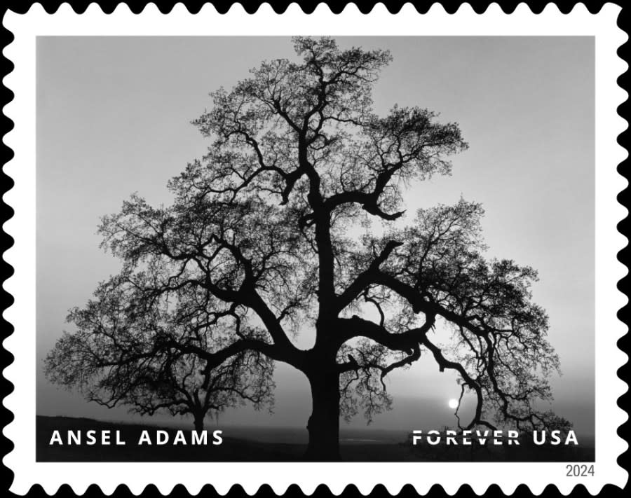 Ansel Adams Oak Tree Stamp