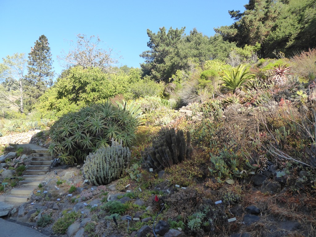 UC Berkeley Botanical Garden