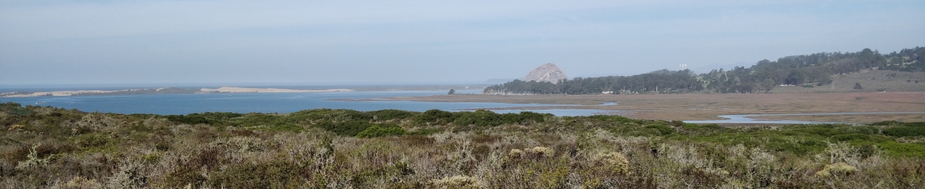 Morro Bay