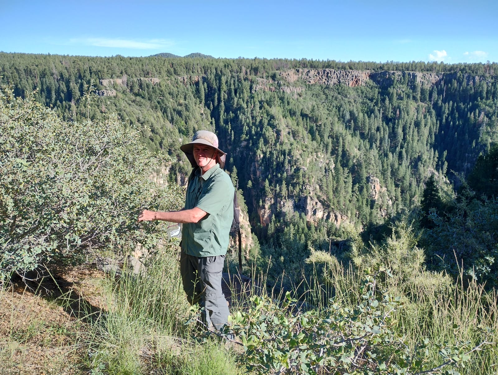 Roderick Cameron Oak Creek Canyon