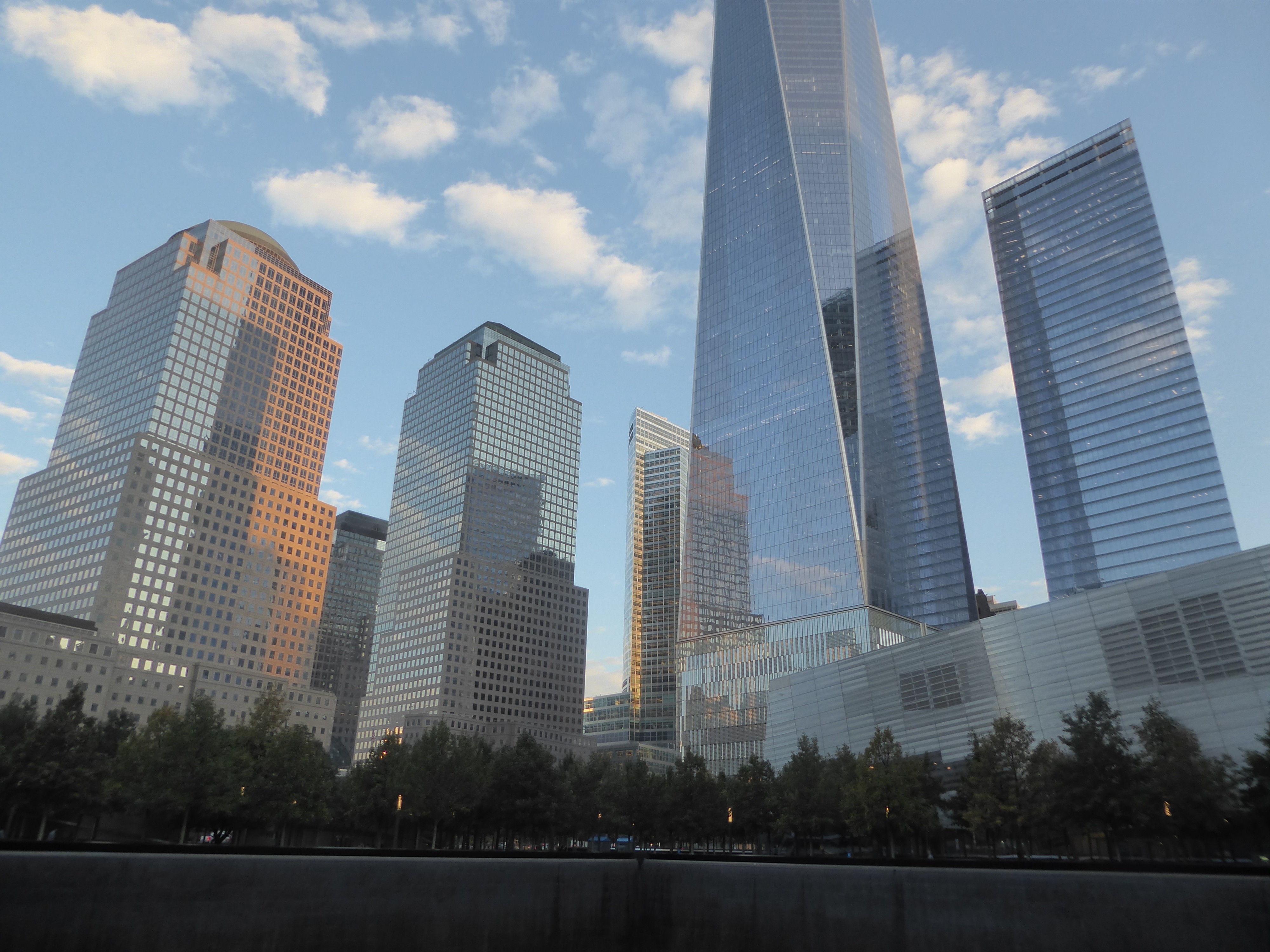 The oaks at the Memorial are dwarfed by surrounding skyscrapers