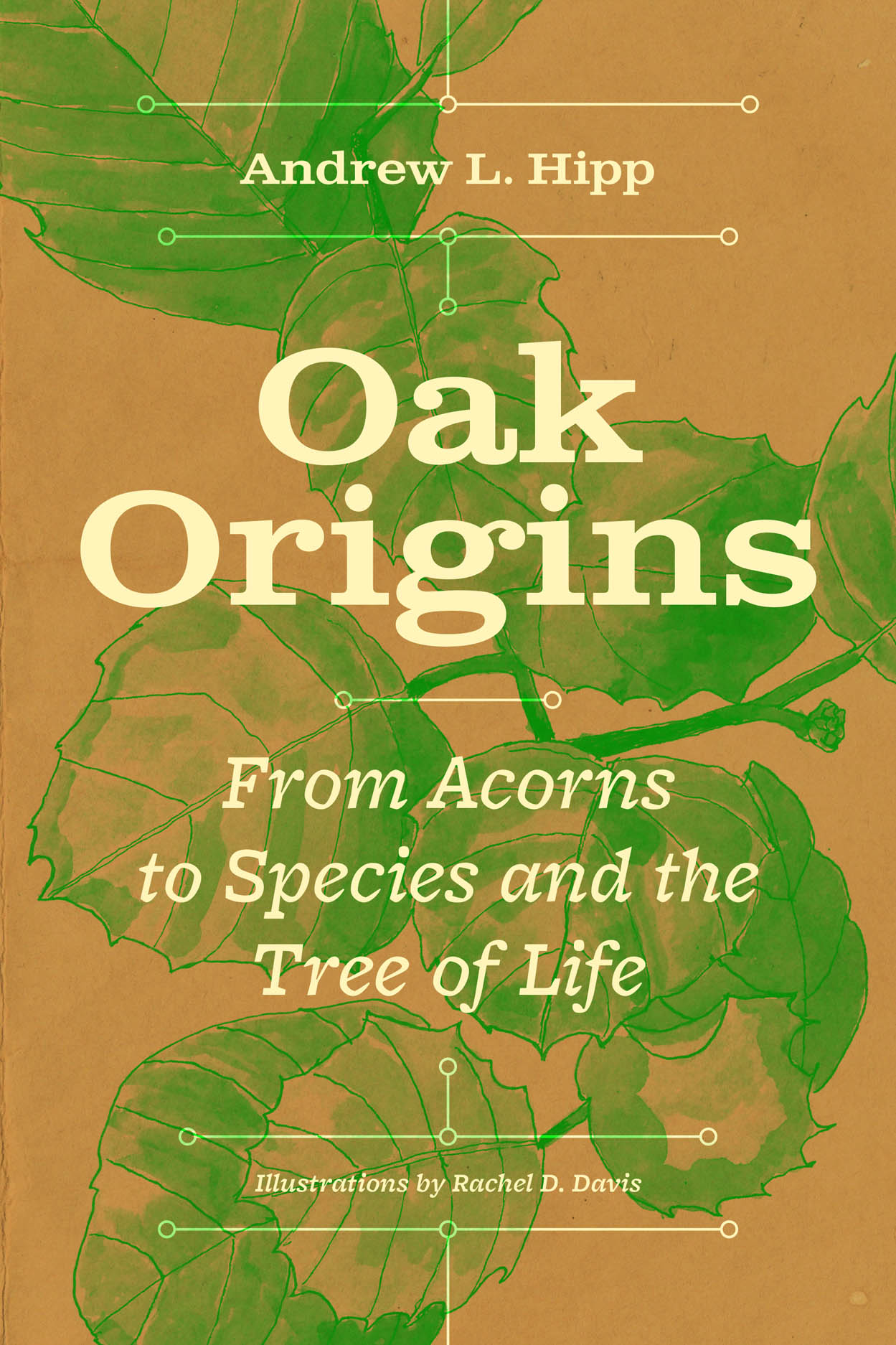 Oak origins cover