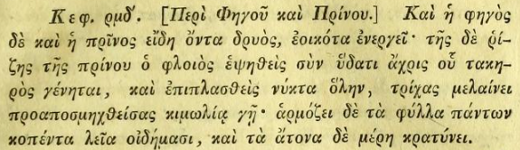 Dioscorides Greek 3