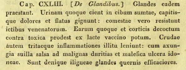 Dioscorides Latin 2