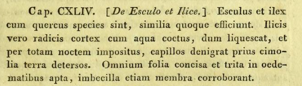 Dioscorides Latin 3
