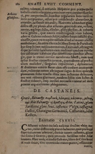 Enarrationes 3