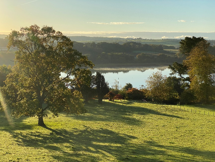 Parkland view