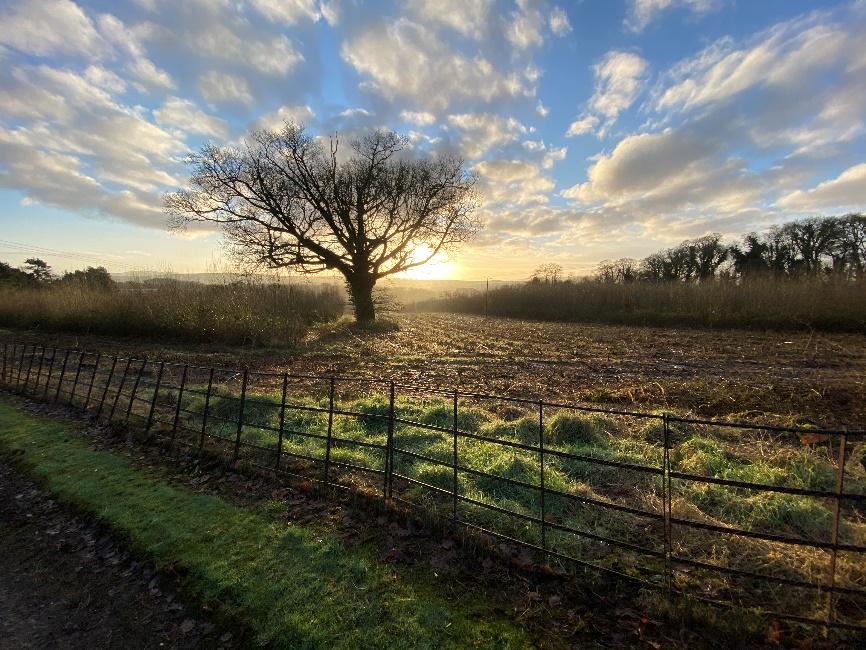 Sunrise