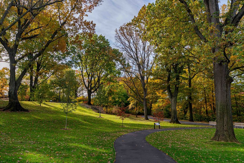 Burke Oaks Landscape