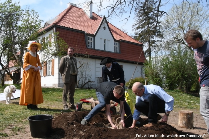 Planting at Bedomin