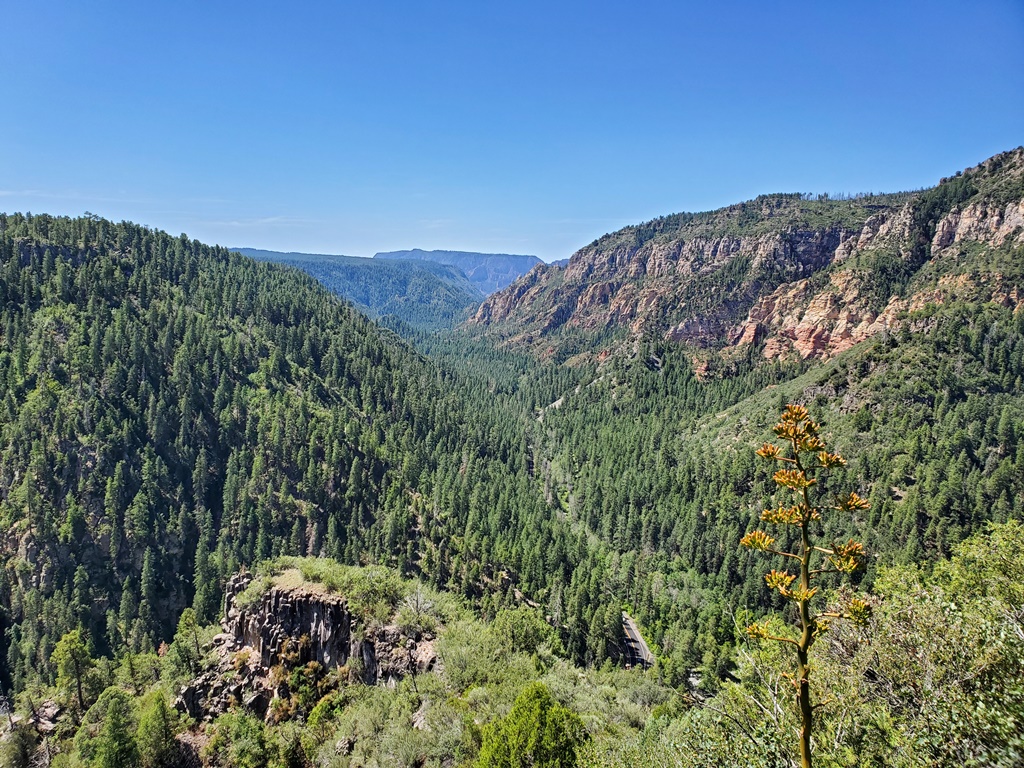 Oak Creek Canyon credit Darink Jenke