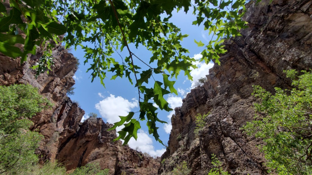 Davis Mountains credit: Adam Black