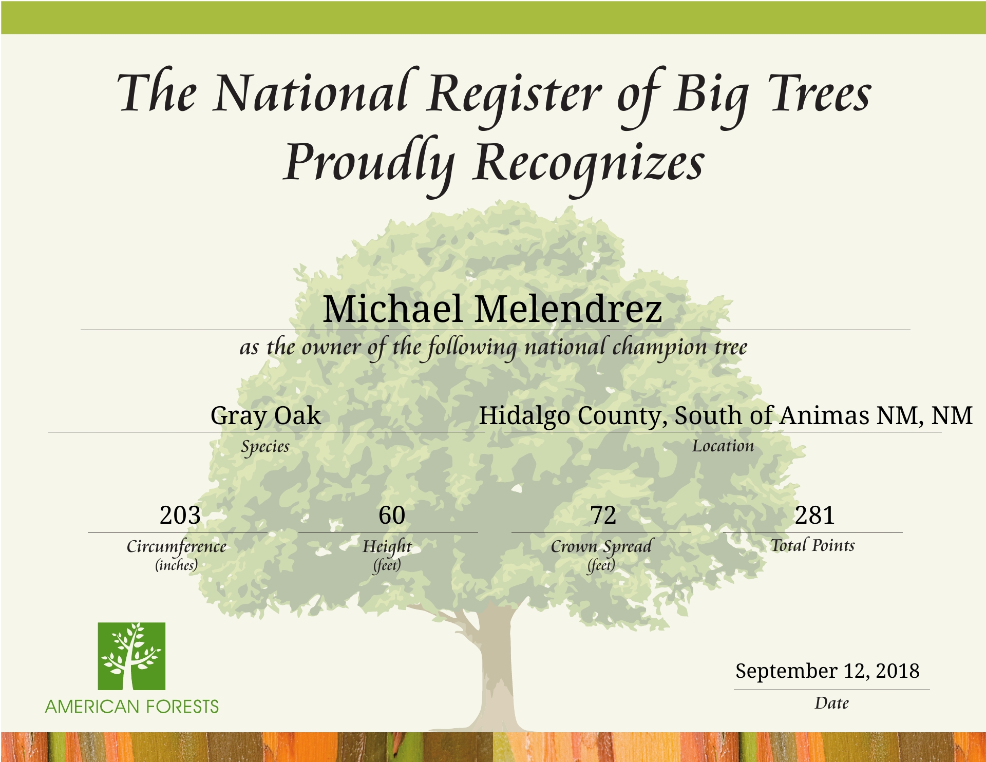 Champion Oak Ceritificate