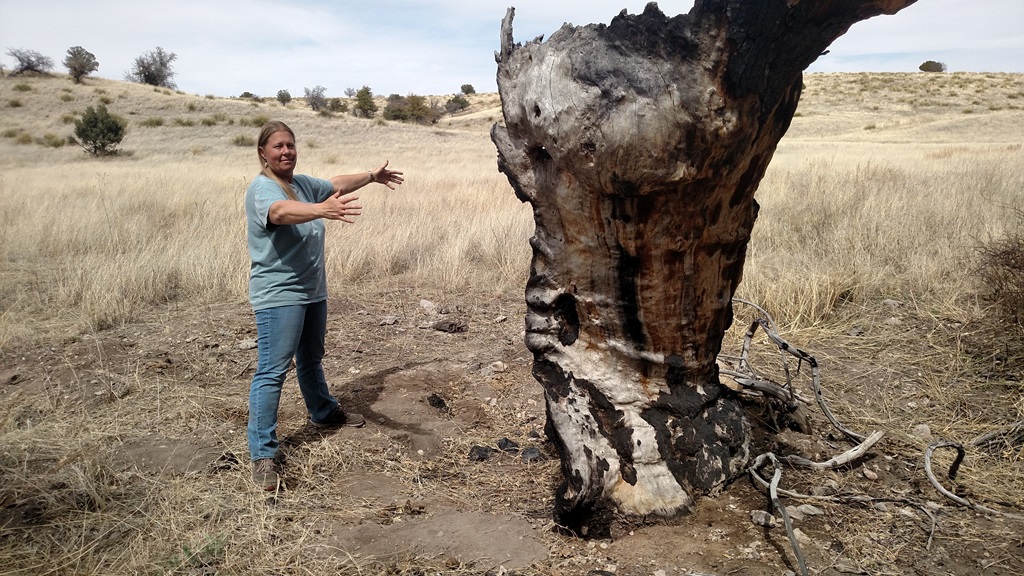 Remains of former champ with Anna Forester