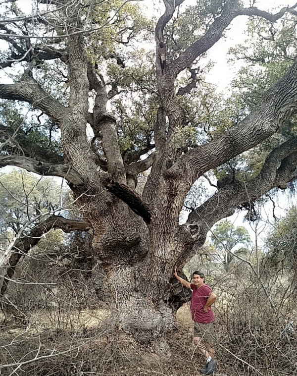 Michael Melendrez and Gray Oak