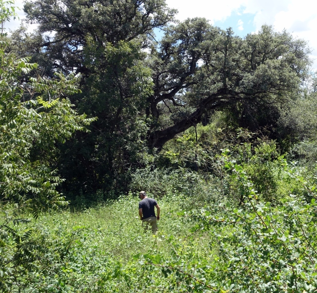 Ryan Russell and the Rattlesnakes