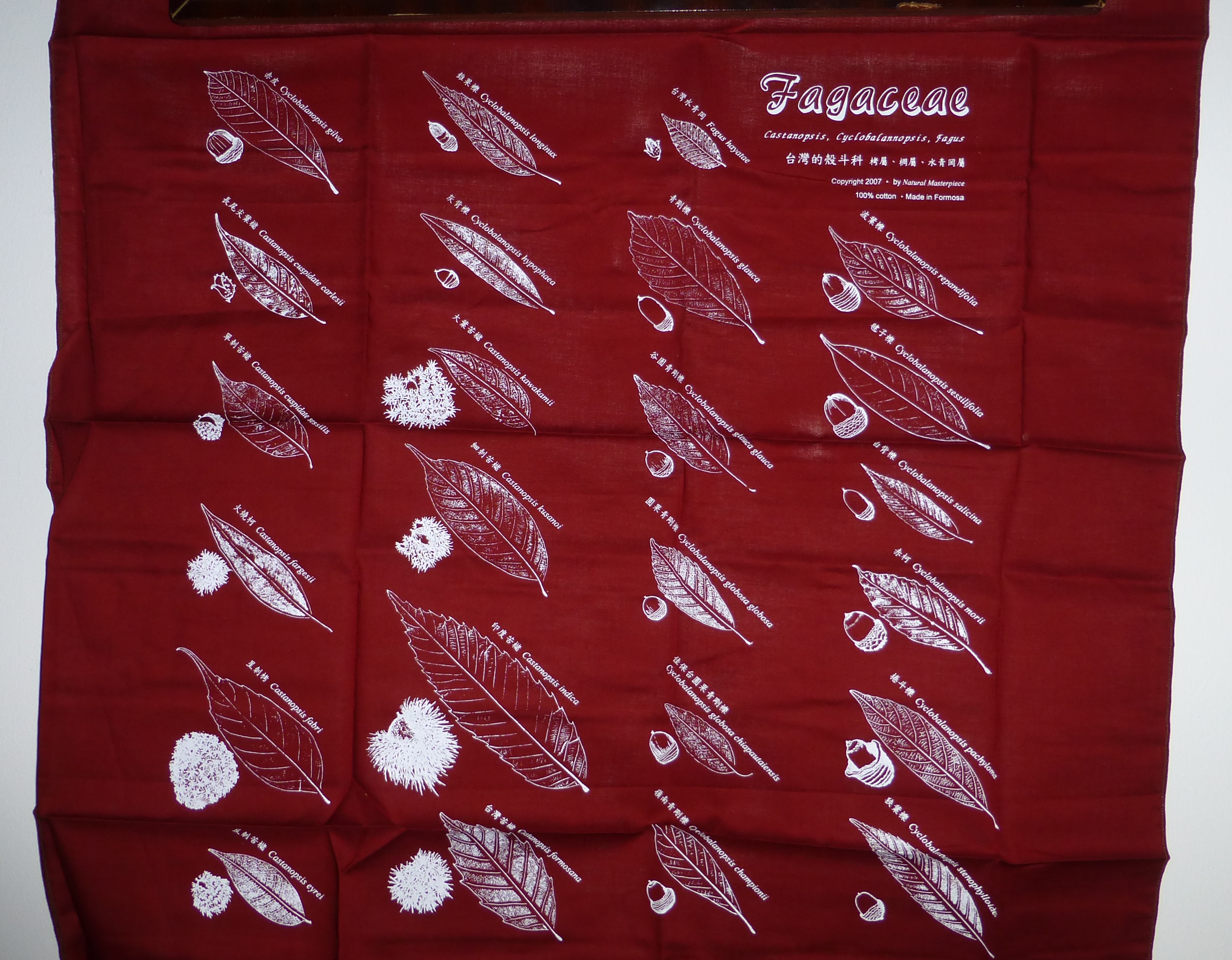 Scarves with Fagaceae of Taiwan
