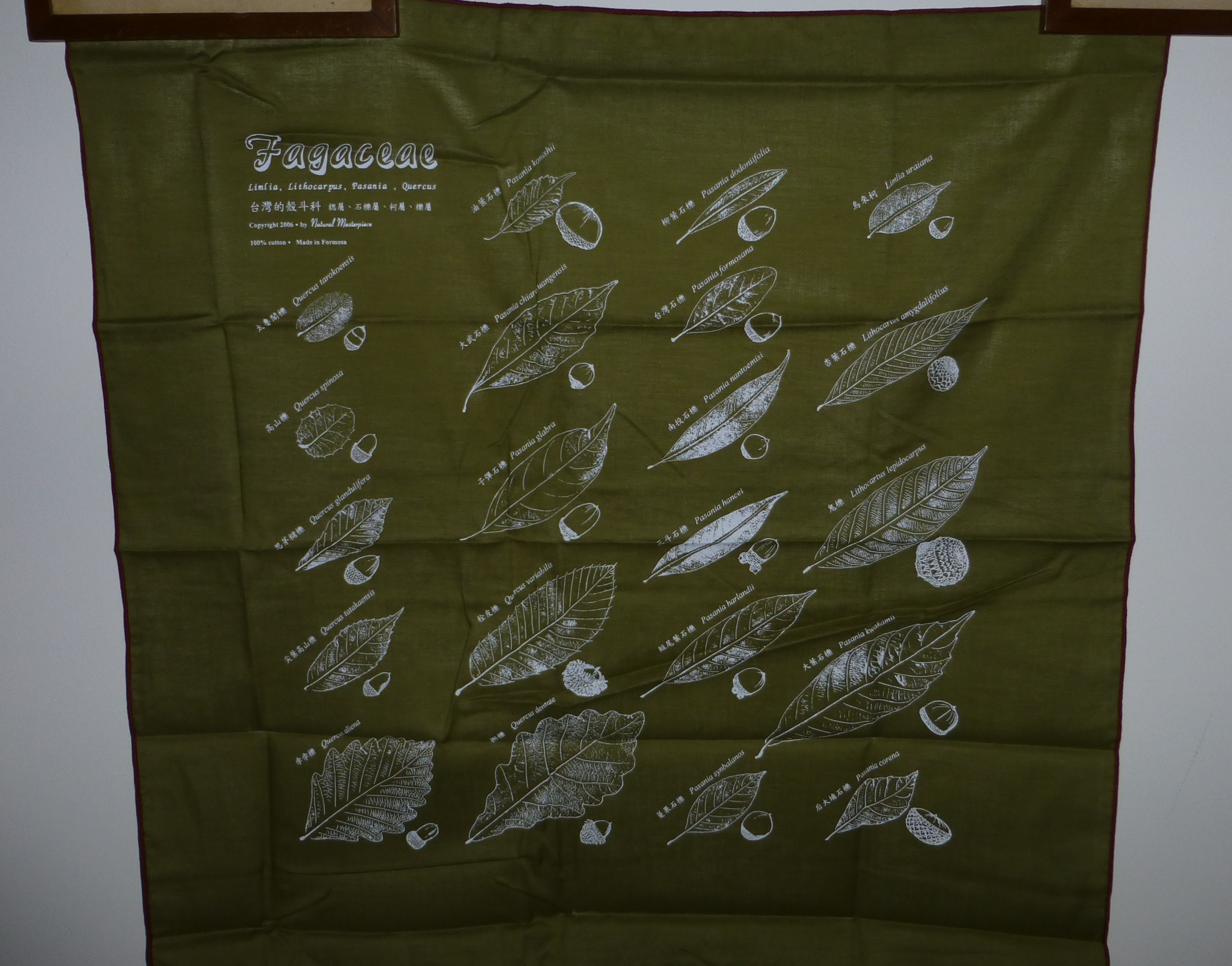 Scarves with Fagaceae of Taiwan