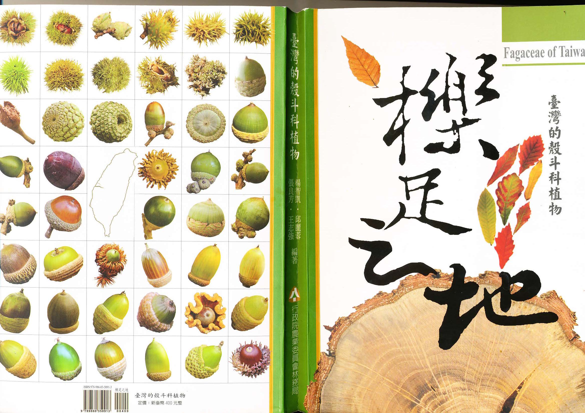 Taiwan Fagaceae