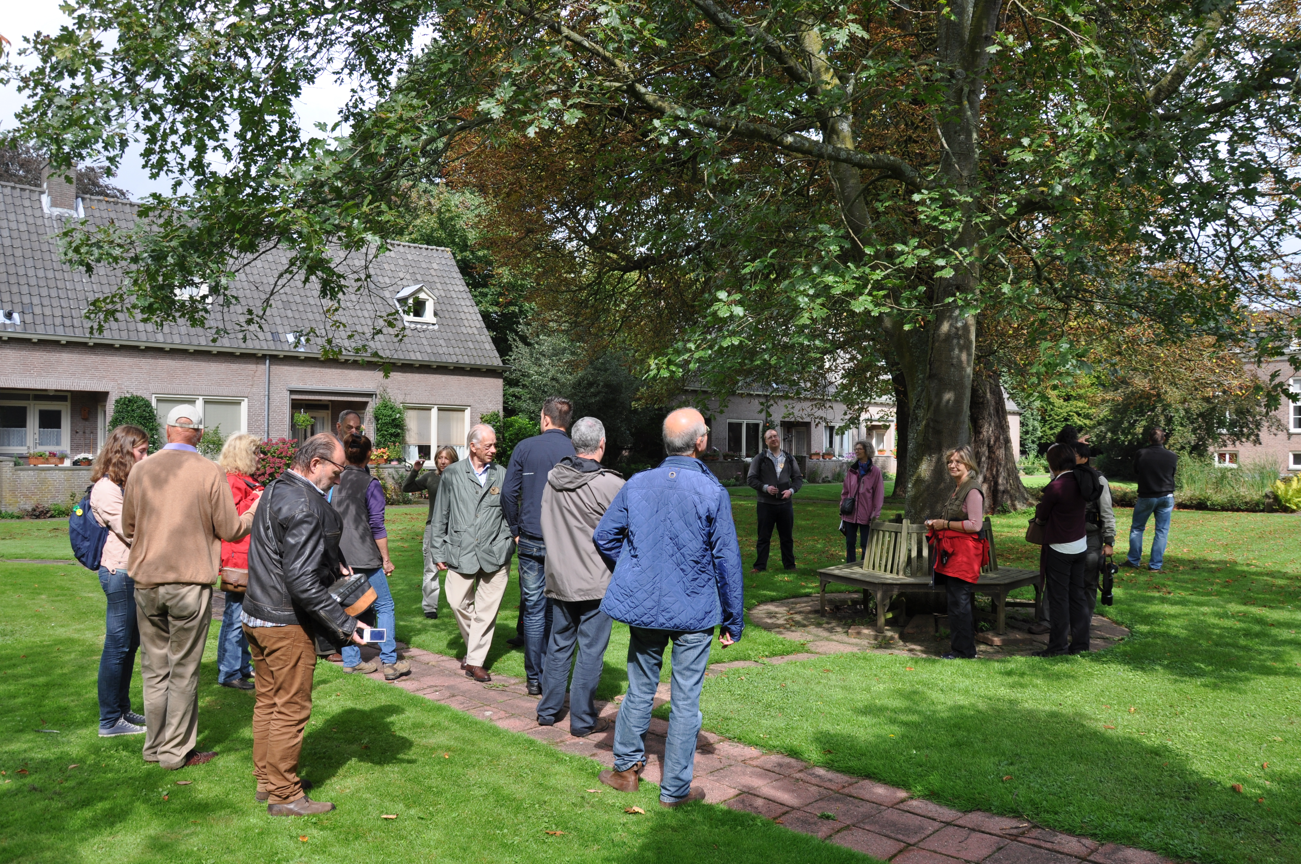 Admiring a specimen of Quercus kelloggii 