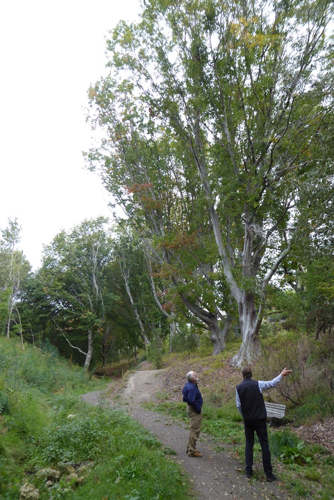 Marshall and Cranwell