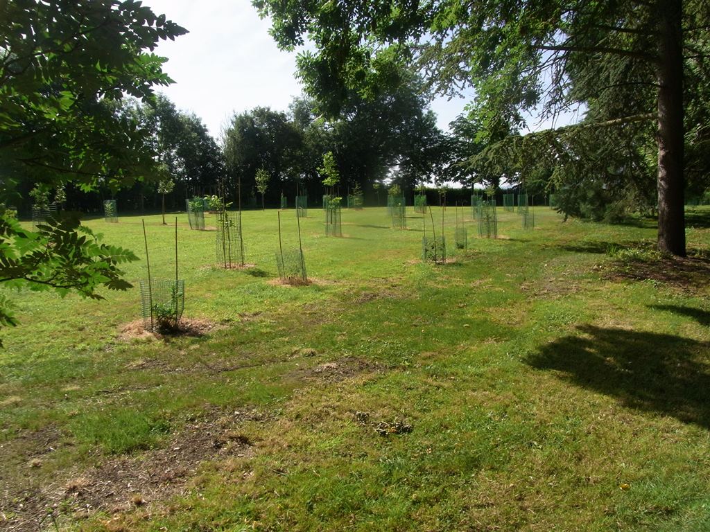 Mallet Court Quercetum