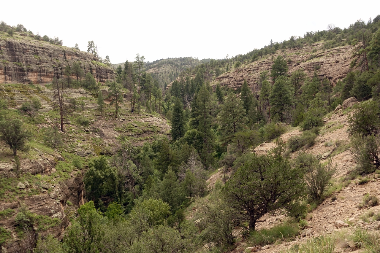 Gila Cliff Dwellings