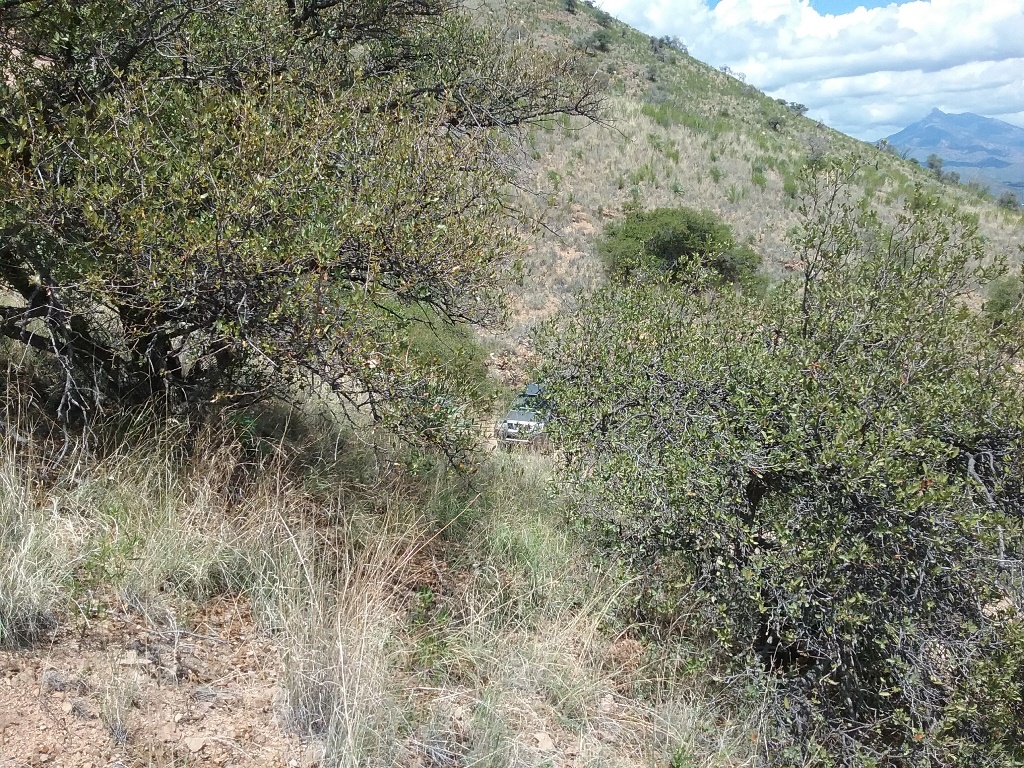 Flux Canyon