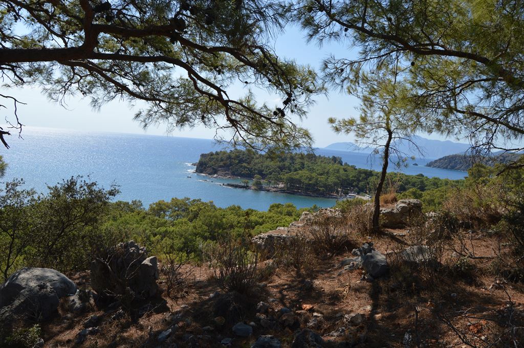 Figure 6. View from Site 1