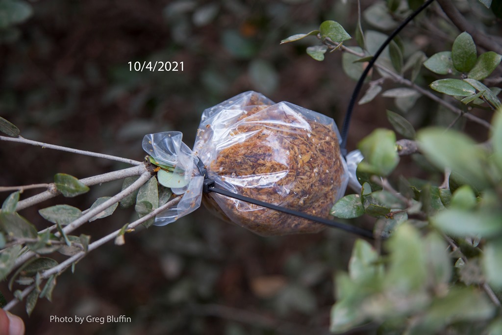 Sleeve sealed with ties