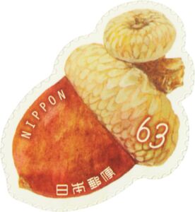 Acorn Japan