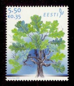 Quercus robur Estonia